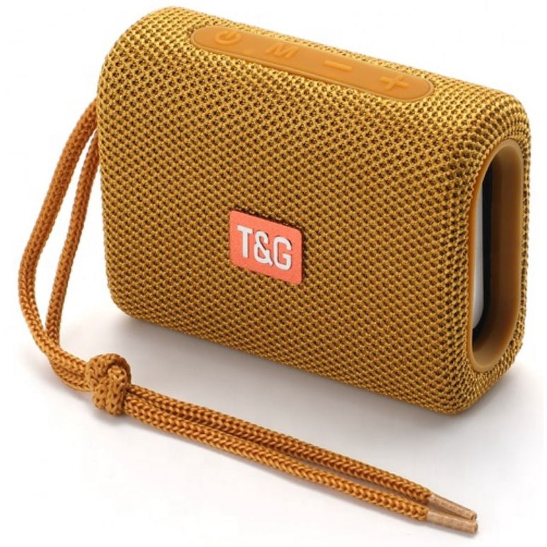 T&G-Speaker-Shop-TG313-Gold06